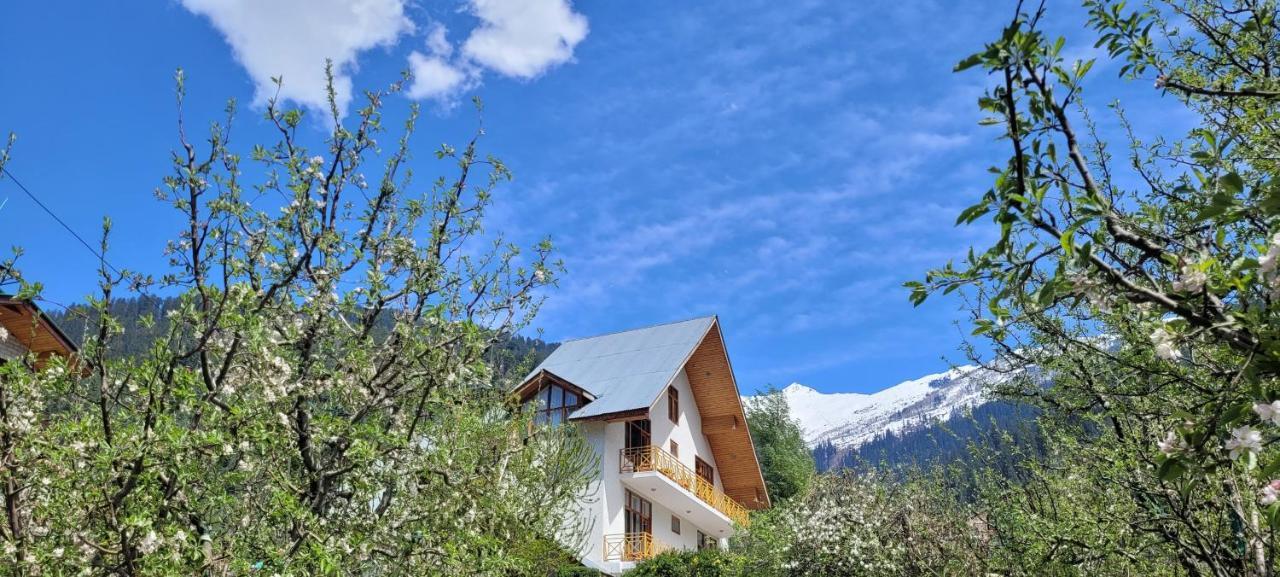 The Wooden Chalet, Manali Exteriér fotografie